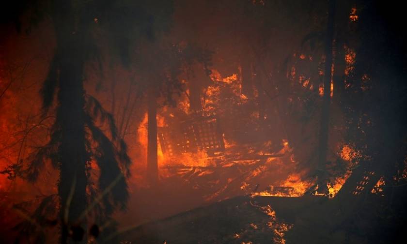 Καίγεται το Ισραήλ - Χιλιάδες άνθρωποι εγκαταλείπουν τα σπίτια τους (pics+vids)