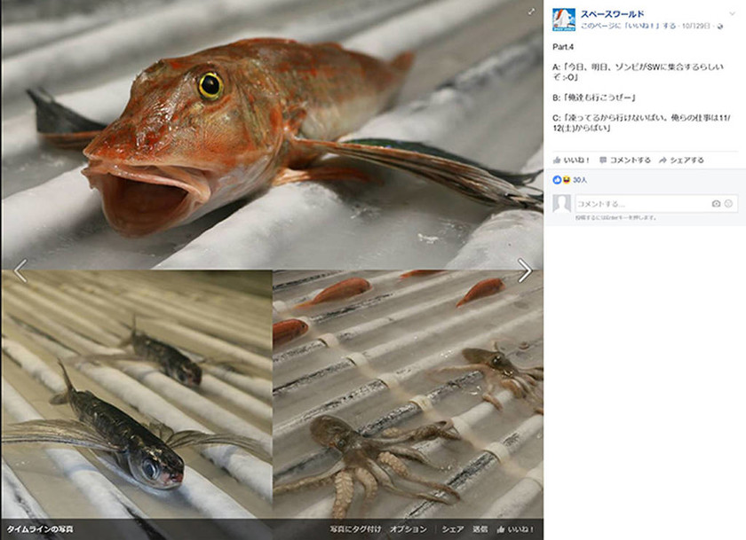 Σάλος στην Ιαπωνία από το παγοδρόμιο με τα χιλιάδες νεκρά ψάρια (Vids+Pics)