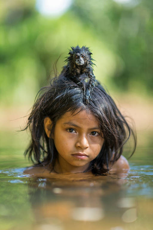 Αυτές είναι οι 50 καλύτερες φωτογραφίες του National Geographic για το 2016  