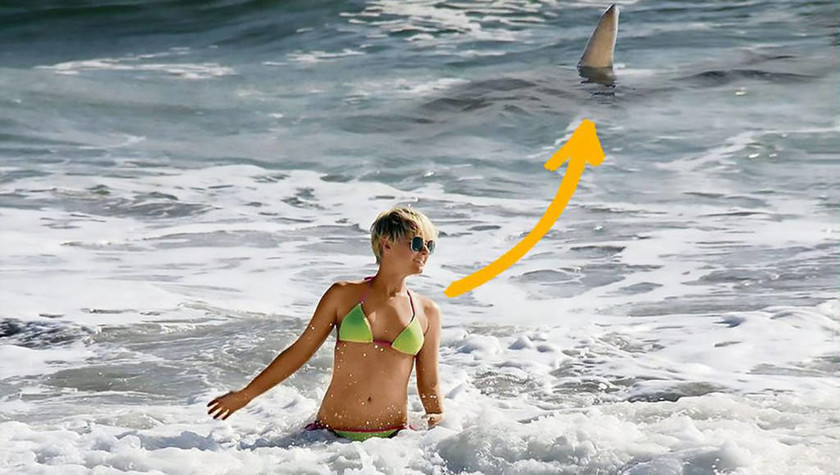 Ο απόλυτος τρόμος: Μοντέλο φωτογραφιζόταν και ο καρχαρίας έκοβε βόλτες πίσω της! (pic)