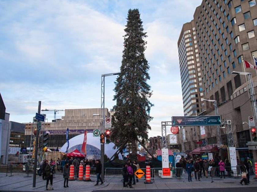 Αυτό είναι το ασχημότερο χριστουγεννιάτικο δέντρο που έχετε δει ποτέ! (pics+vid)