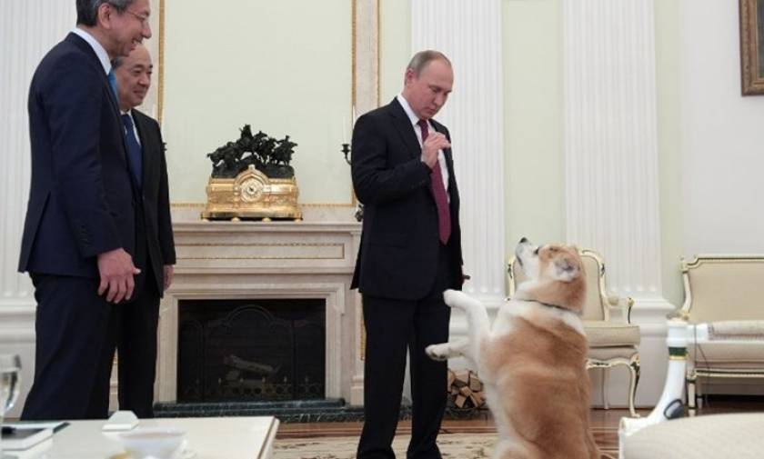 Ο σκύλος του Πούτιν αγρίεψε τρομοκρατώντας Ιάπωνες δημοσιογράφους! (video)