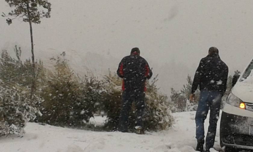 Επέλαση του χιονιά στη Βόρεια Ελλάδα: Στα λευκά η Χαλκιδική (photo)