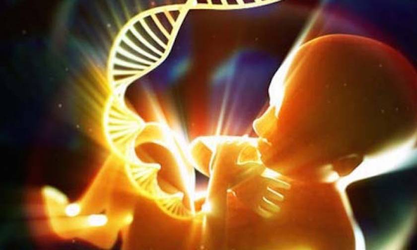 Εγκρίθηκε η σύλληψη εμβρύων από DNA τριών ανθρώπων!