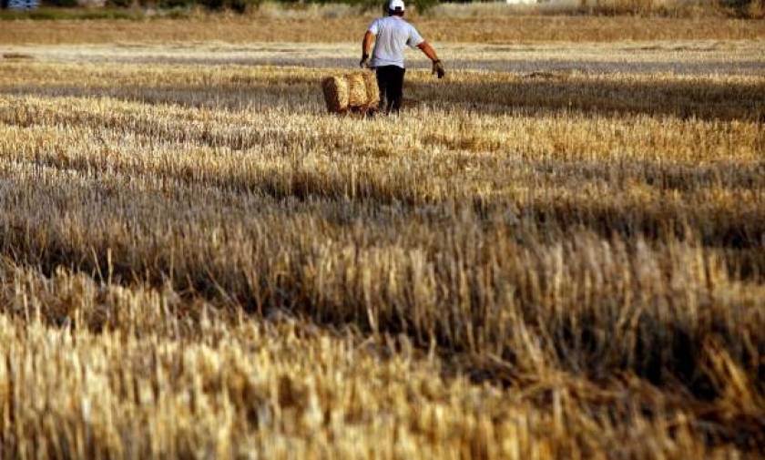 «Ένεση» ρευστότητας 932 εκατ. ευρώ σε 622.000 αγρότες