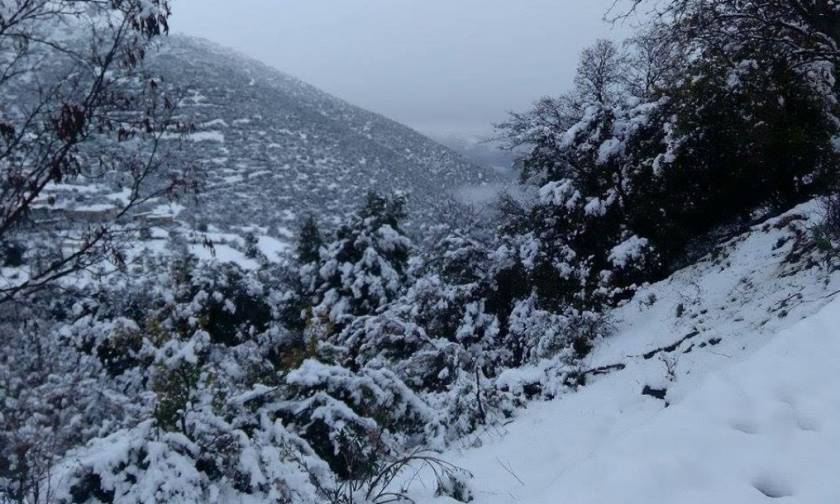 Κακοκαιρία: Στην «κατάψυξη» η χώρα - Πού θα χιονίσει τις επόμενες ώρες