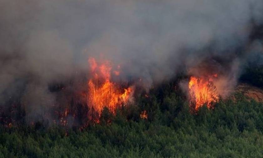 Λασίθι: Φωτιά σε δύσβατη περιοχή