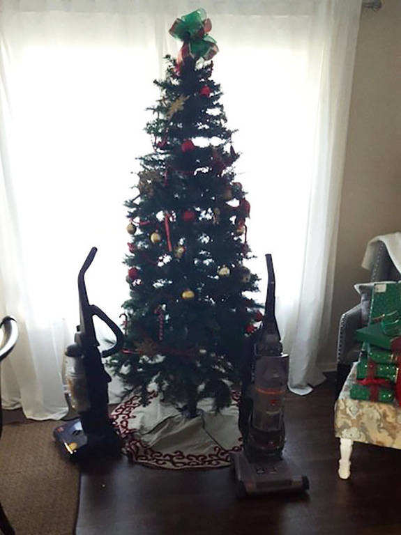 Μεγαλοφυές: 15 ξεκαρδιστικοί τρόποι για να σώσετε τα χριστουγεννιάτικα δέντρα σας από τα κατοικίδια