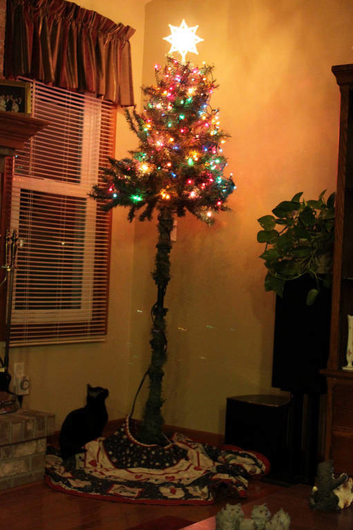 Μεγαλοφυές: 15 ξεκαρδιστικοί τρόποι για να σώσετε τα χριστουγεννιάτικα δέντρα σας από τα κατοικίδια
