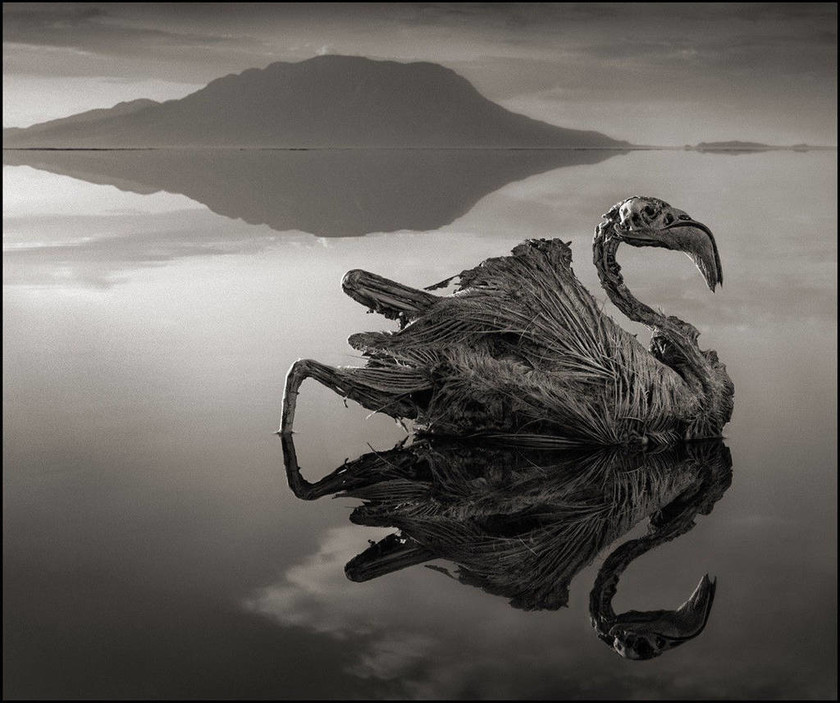 Απίστευτες εικόνες: Αυτή είναι η πιο επικίνδυνη λίμνη στον κόσμο! (pics+vid)
