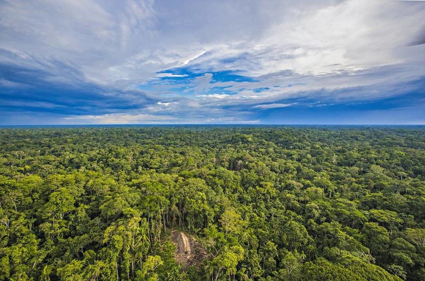 Φωτογράφος «ανακάλυψε» μια ξεχασμένη φυλή του Αμαζονίου (pics)