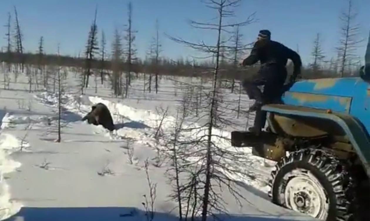 Βίντεο-Σοκ: Ανεγκέφαλοι σπάνε τα κόκκαλα αρκούδας με φορτηγό (ΠΡΟΣΟΧΗ! ΠΟΛΥ ΣΚΛΗΡΕΣ ΕΙΚΟΝΕΣ)