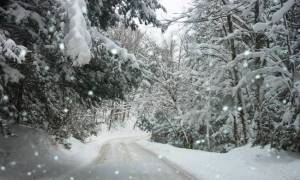 Καιρός: Ξεκίνησε η επέλαση του χιονιά - Ραγδαία επιδείνωση τις επόμενες ώρες