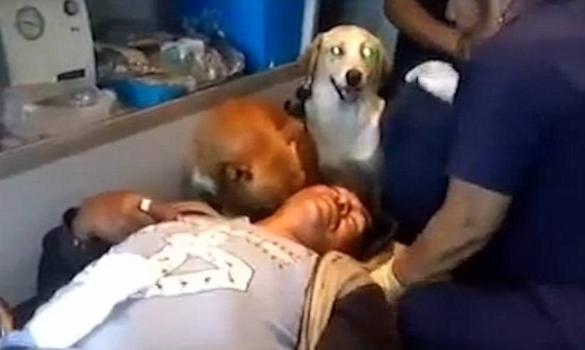 Συγκινητικό βίντεο: Σκύλοι συνοδεύουν το αφεντικό τους στο νοσοκομείο