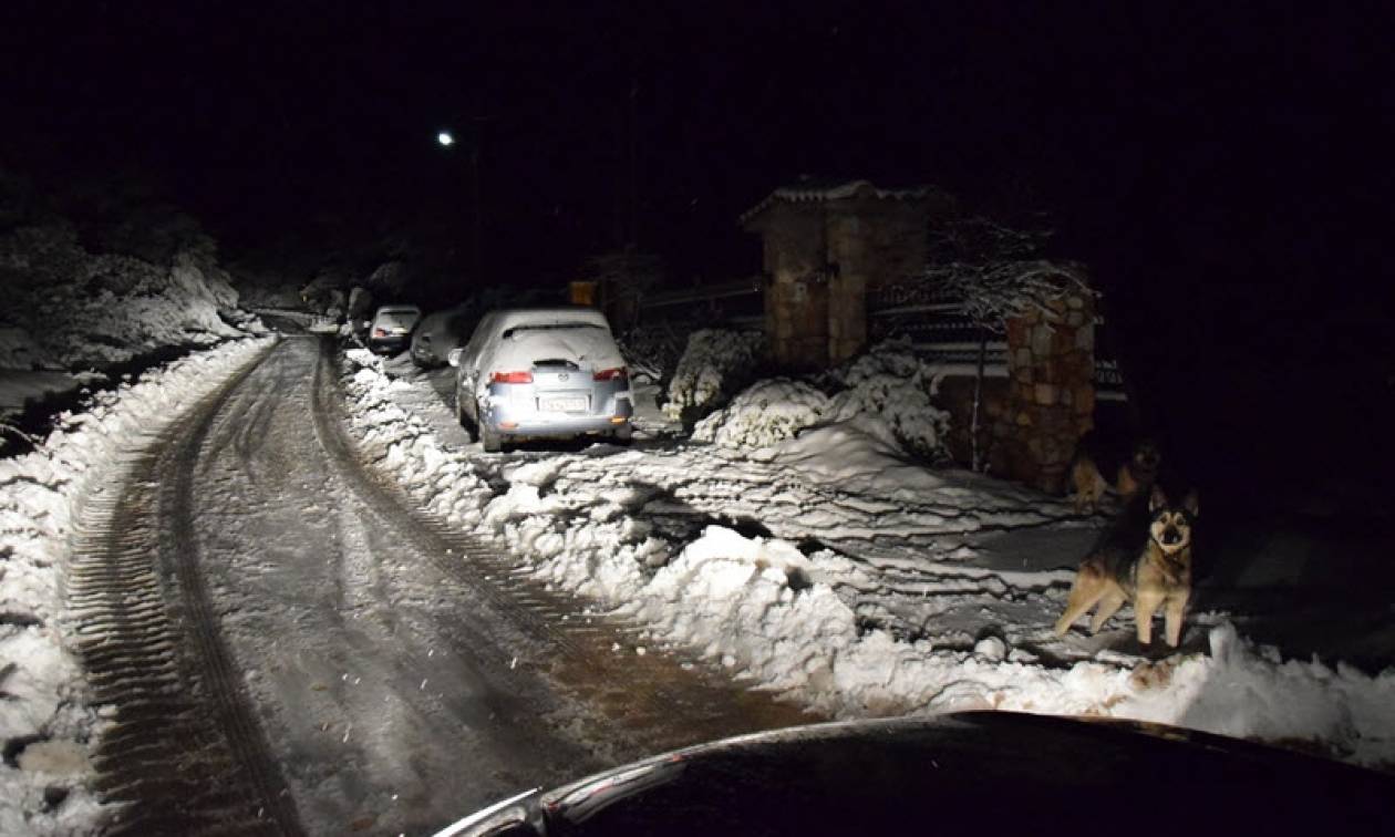 Καιρός ΤΩΡΑ: Χιόνια στην Αθήνα - Σφοδρή χιονόπτωση στα προάστια της Αττικής