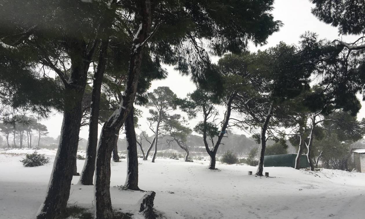 Καιρός LIVE: Χιόνια σε Μαραθώνα και Νέα Μάκρη (pics + vid)