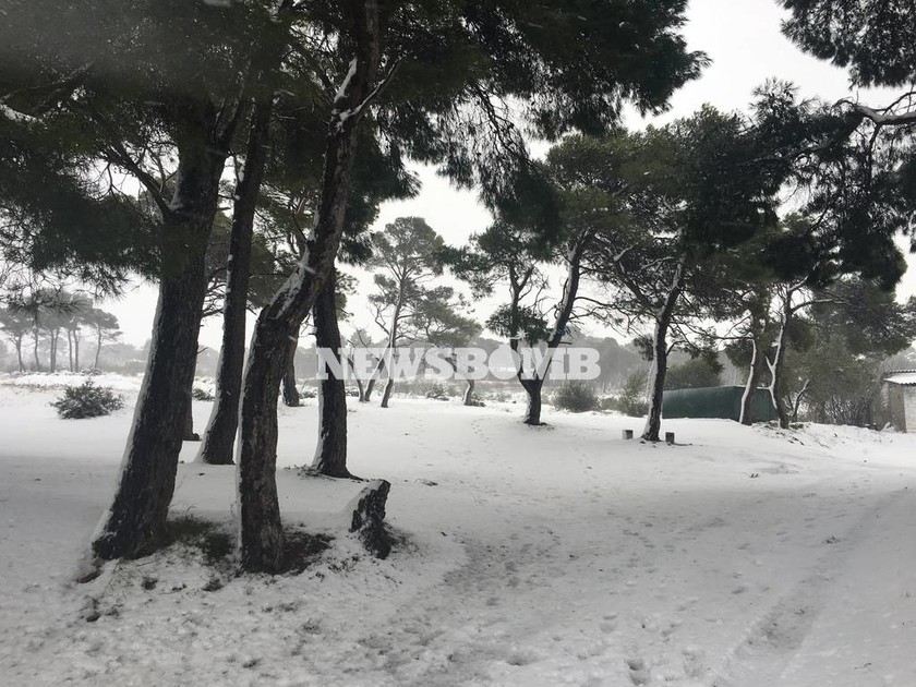 Καιρός LIVE: Χιόνια ΤΩΡΑ σε Μαραθώνα και Νέα Μάκρη (pics + vid)