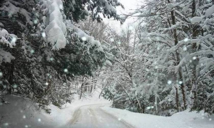 Χιόνια στην Αθήνα - Η Τροχαία προειδοποιεί! Αυτοί οι δρόμοι είναι κλειστοί