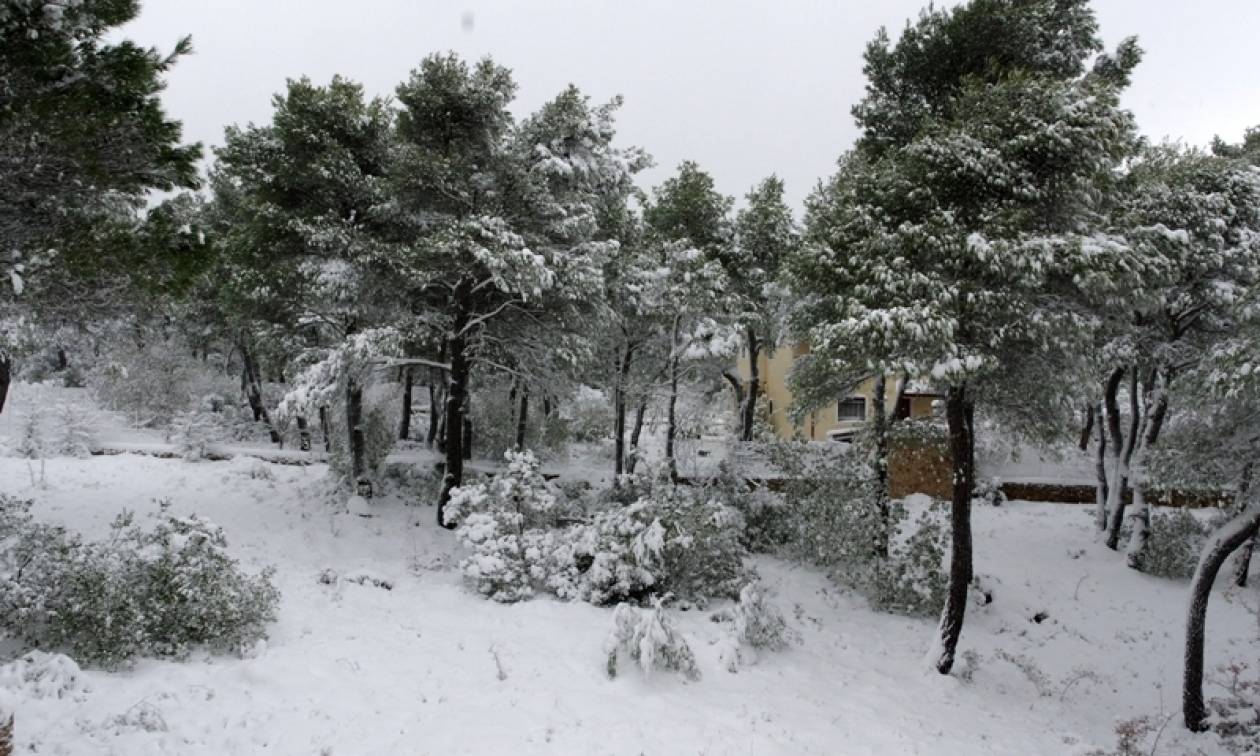 Καιρός: Οι μετεωρολόγοι προειδοποιούν: Πρωτοφανής χιονιάς θα «σαρώσει» την Αθήνα