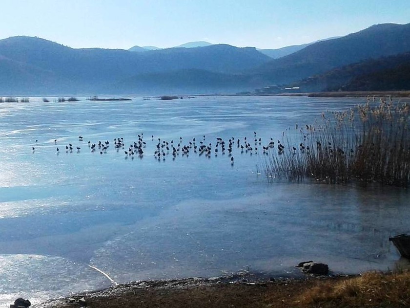 Πάγωσαν από τις χαμηλές θερμοκρασίες οι λίμνες Καστοριάς και Χειμαδίτιδας (pics)