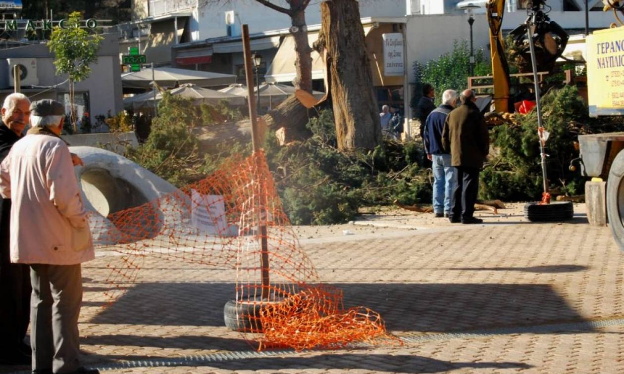 Έκοψαν το ιστορικό κυπαρίσσι στην πλατεία του Άργους