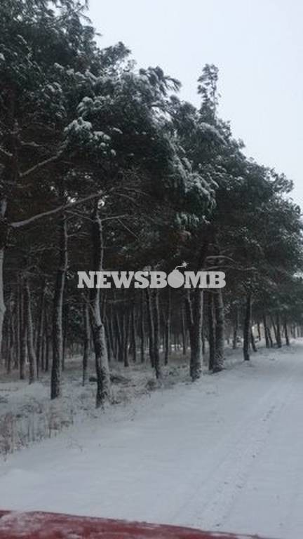 Χιόνια – Έβρος: Μαγικές εικόνες από τις κατάλευκες, ακριτικές Φέρες! (video&photos)