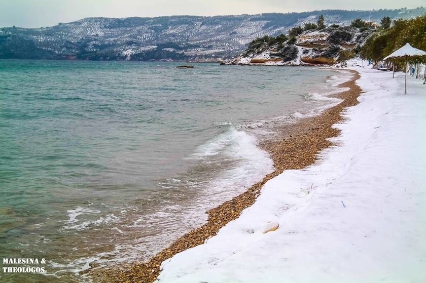 Καιρός - Φθιώτιδα: Τα χιόνια «σκέπασαν» τις παραλίες! (pics&vid)