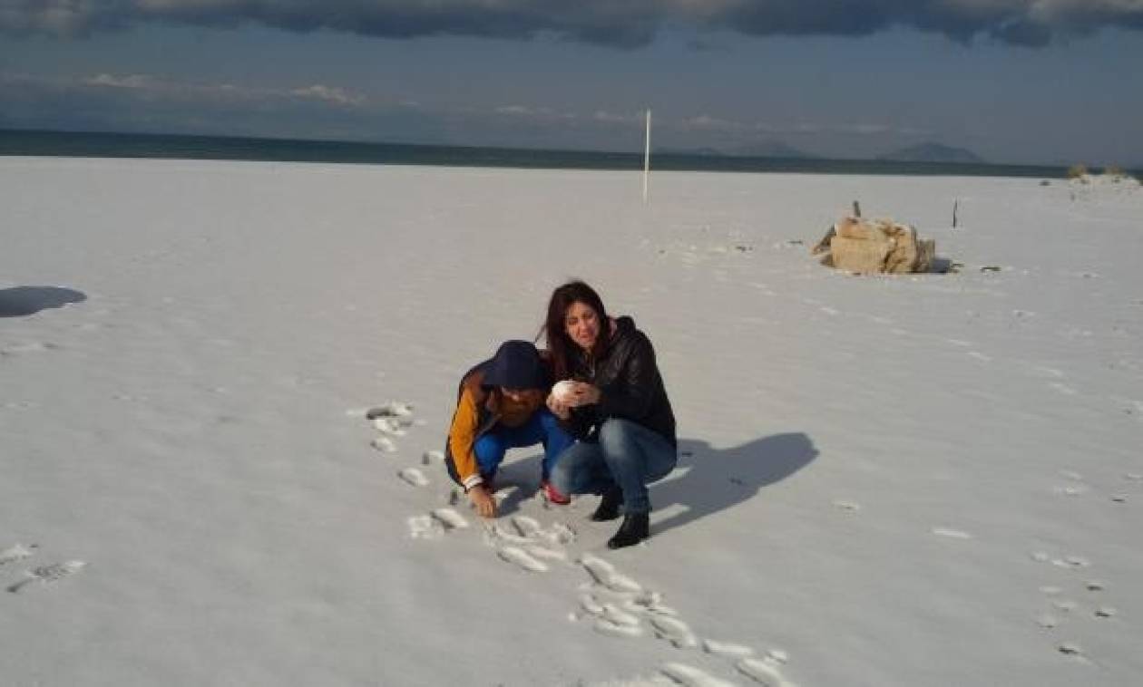 Χιονιάς «Αριάδνη»: Χιονοπόλεμος στη διάσημη παραλία της Καλογριάς! (pics)