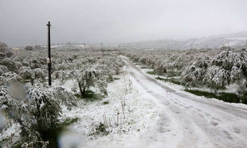 Καιρός: Έντονα προβλήματα στα νησιά του βορείου Αιγαίου λόγω σφοδρής χιονοθύελλας