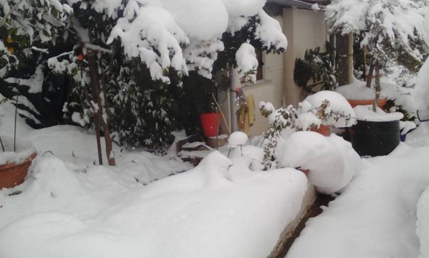Καιρός ΤΩΡΑ: Θαμμένες στο χιόνι Κύμη και Αλόννησος – Εγκλωβισμένες στο χιόνι οικογένειες
