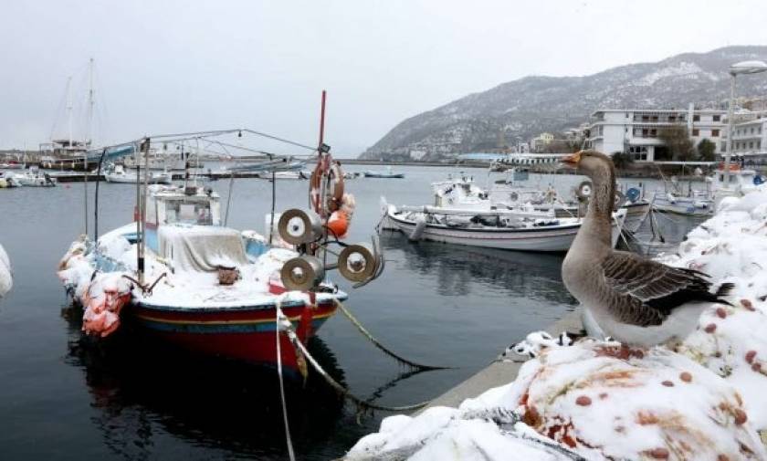 Βυθίστηκαν λόγω χιονιά οι βάρκες δύο εμβληματικών ψαράδων που διέσωσαν εκατοντάδες πρόσφυγες