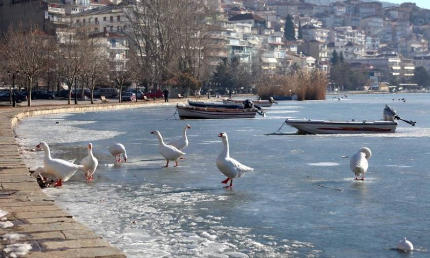 Καιρός: Πάγωσε η μικρή Πρέσπα και η λίμνη της Καστοριάς (pics)