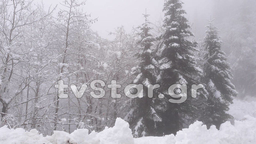 Απίστευτο: Σε αυτό το χωριό της Ελλάδας χιονίζει εδώ και 27 ημέρες ασταμάτητα (pics)