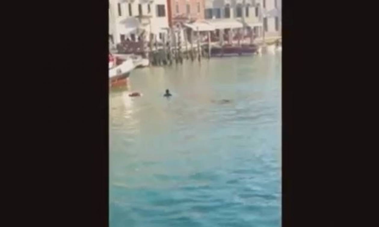 Βίντεο σοκ: Άνδρας πνίγηκε στο Μεγάλο Κανάλι της Βενετίας
