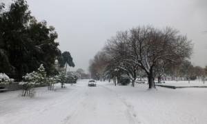 Καιρός: Χιόνια σε Αθήνα και Θεσσαλονίκη - Έκτακτο δελτίο από την ΕΜΥ - Πού θα το «στρώσει» (vids)