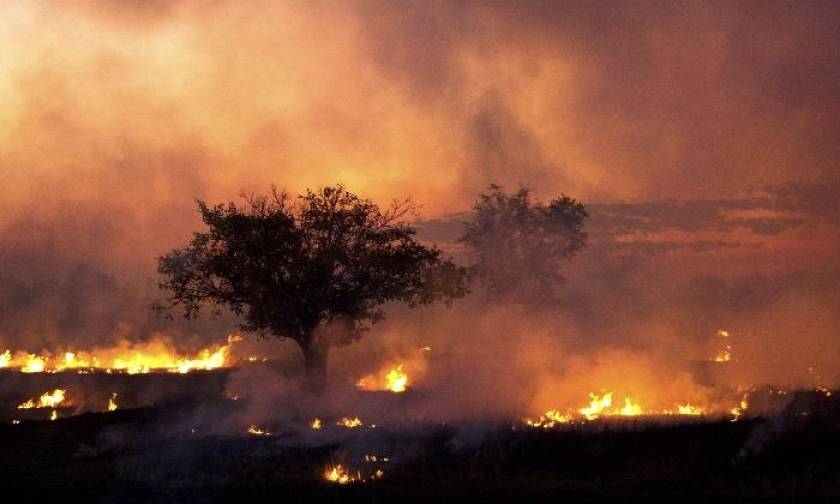 Εικόνες Αποκάλυψης στη Χιλή: 9 νεκροί και εκατ. στρέμματα γης αποκαΐδια από την πύρινη κόλαση (vids)