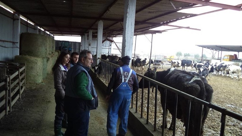 «Παιδεία Γάλακτος»: Εκπαιδευτικό πρόγραμμα γαλακτοπαραγωγών από την Κρι Κρι