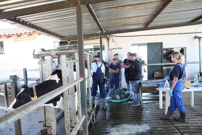 «Παιδεία Γάλακτος»: Εκπαιδευτικό πρόγραμμα γαλακτοπαραγωγών από την Κρι Κρι