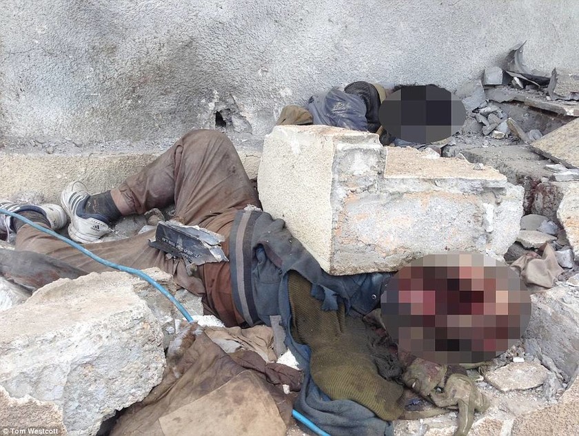 Σκληρές εικόνες: Τα πτώματα των τζιχαντιστών γίνονται τροφή για σκύλους στη Μοσούλη
