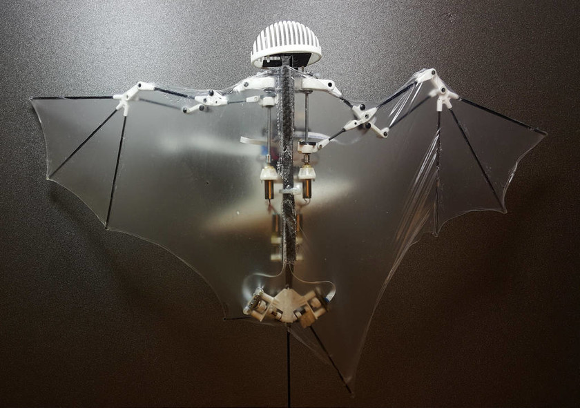 Δημιουργήθηκε το πρώτο ρομπότ-νυχτερίδα με πολυπλοκότητα κινήσεων στον αέρα (Vid)