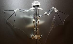 Δημιουργήθηκε το πρώτο ρομπότ-νυχτερίδα με πολυπλοκότητα κινήσεων στον αέρα (Pic+Vid)