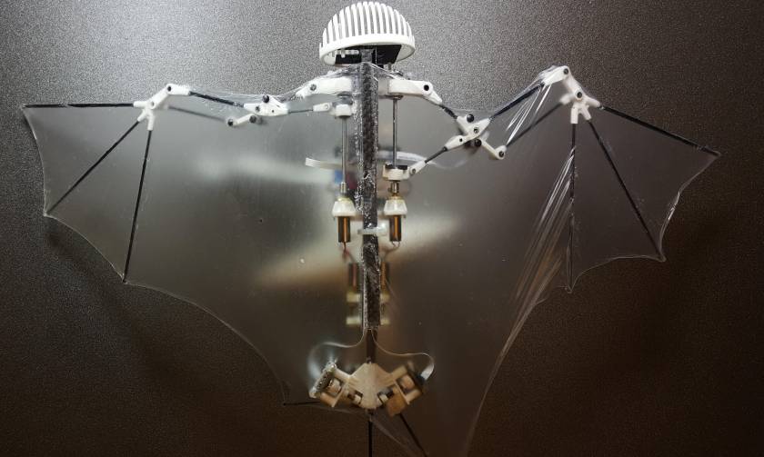 Δείτε το «Bat Bot», το πρώτο ρομπότ-νυχτερίδα!