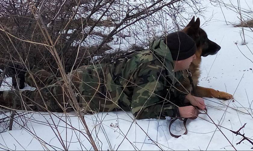 Στρατός Ξηράς: Τα σκυλιά των ενόπλων δυνάμεων εκπαιδεύονται...(pics)