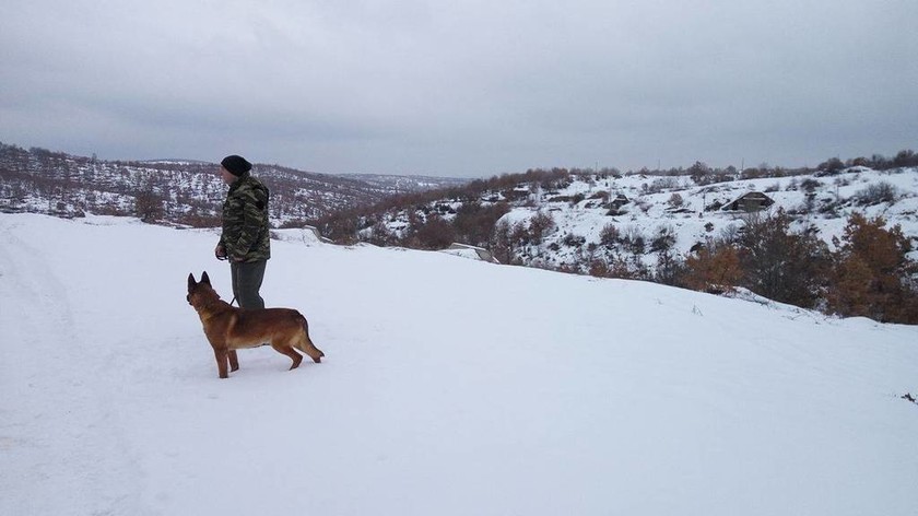 Στρατός Ξηράς: Τα σκυλιά των ενόπλων δυνάμεων εκπαιδεύονται...(pics)