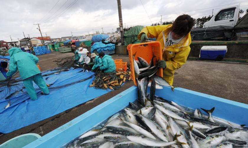 Φτωχότεροι κατά 75,4% οι ψαράδες την τελευταία δεκαετία