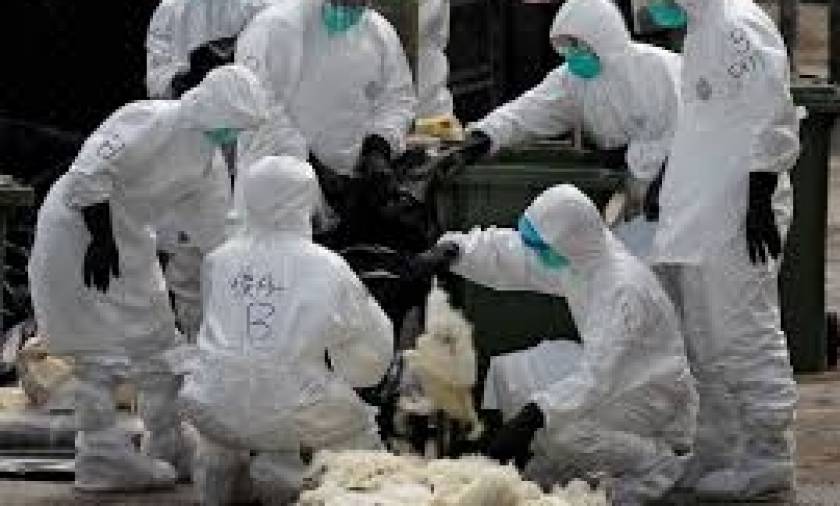 Κρούσμα γρίπης των πτηνών στις Πρέσπες – Συμβουλές και συστάσεις προς τους πολίτες