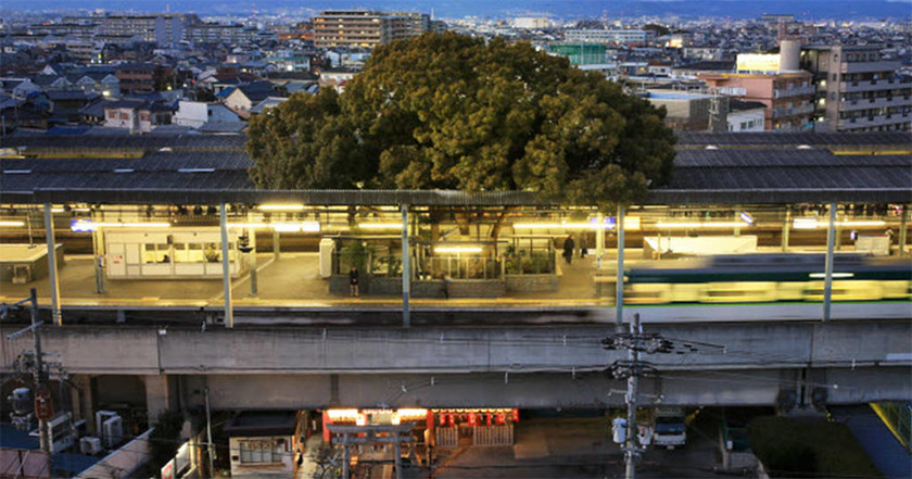 Εντυπωσιακό: Ο σιδηροδρομικός σταθμός που χτίστηκε γύρω από δέντρο 700 ετών! (pics)