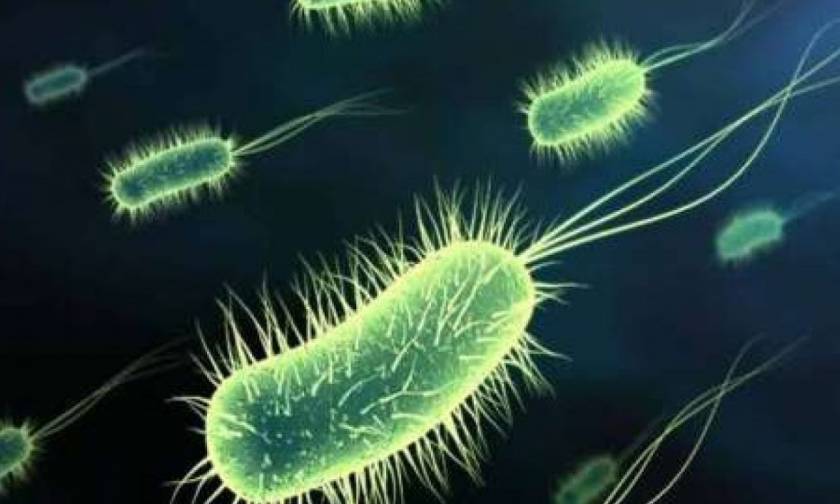 Ανακαλύφθηκαν μικρόβια-μαθουσάλες ηλικίας έως 50.000 ετών