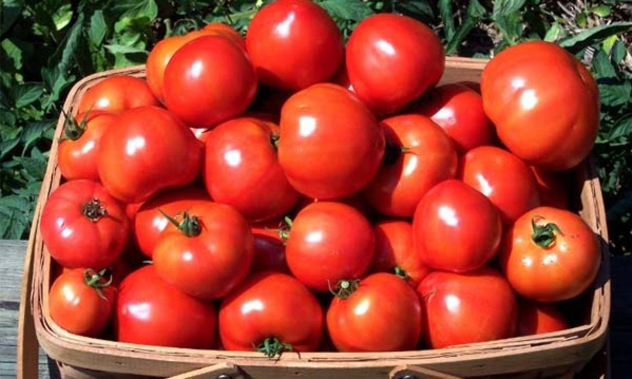 Πειραιάς: Κατασχέθηκαν 6 τόνοι ντομάτας με υπολείμματα φυτοφαρμάκου