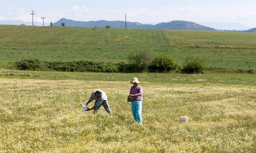 Έρχεται το ηλεκτρονικό δελτίο αξιολόγησης για τους νέους αγρότες